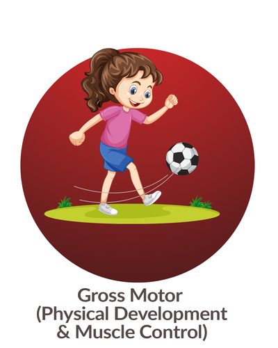 Gross Motor (Physical Development & Muscle Control)