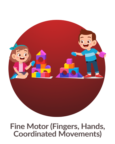 Fine Motor (Fingers, Hands, Coordinated Movements)