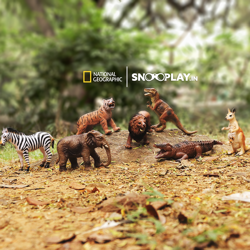 Soft Toys & Animal Figures