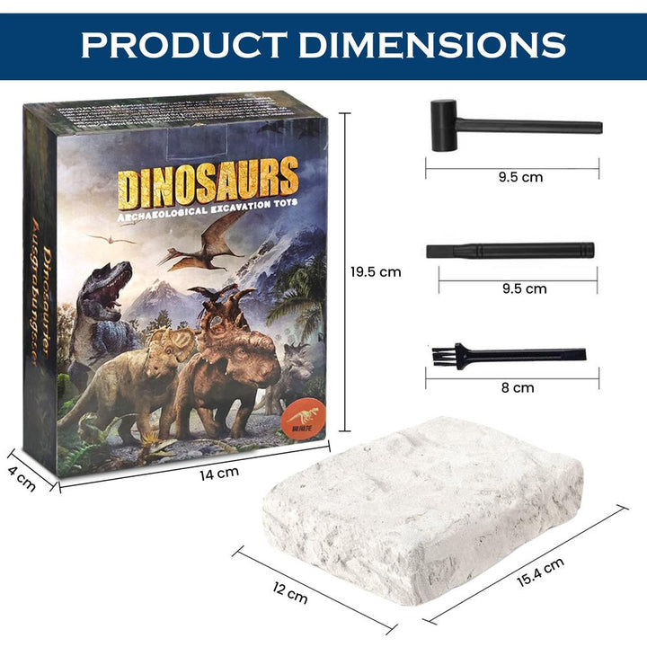 Kidology Dinosaur Fossil Digging Kit