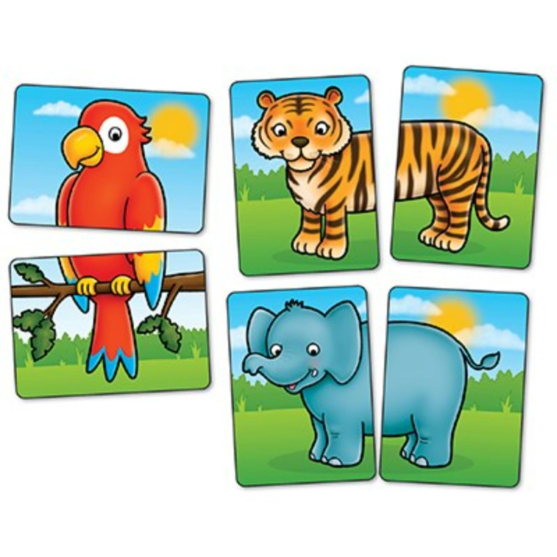 Jungle Heads and Tails Matching Game Snooplay