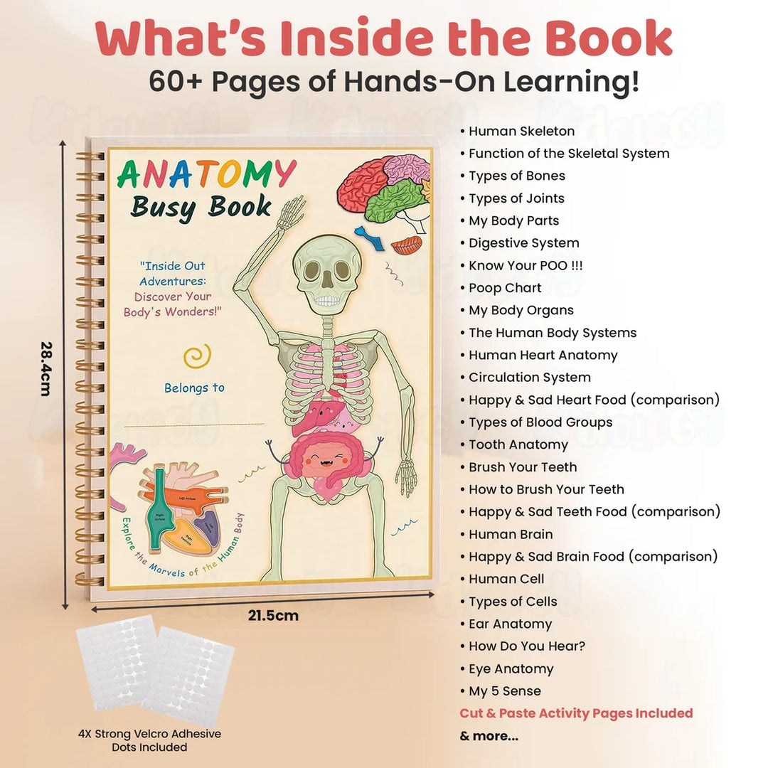 Kidology Human Anatomy Busy Book | Interactive Educational Learning Book