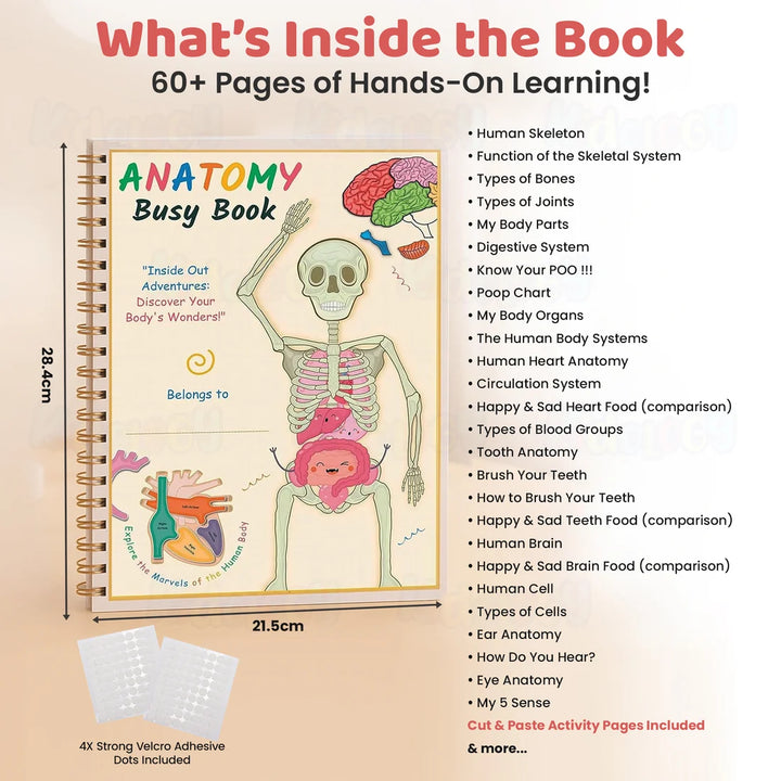 Kidology Human Anatomy Busy Book | Interactive Educational Learning Book