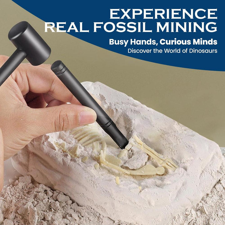 Kidology Dinosaur Fossil Digging Kit