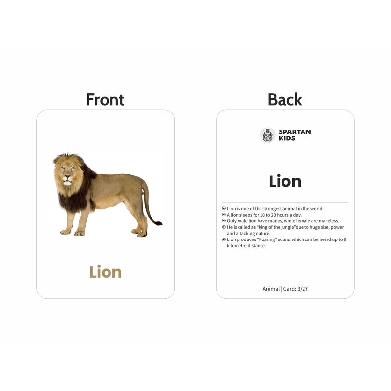 Animals Flash Cards (27 Early Learning Flash Cards For Kids)