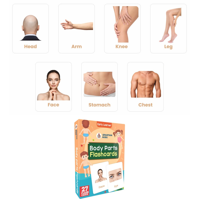 Body Parts Flash Cards (27 Early Learning Flash Cards For Kids)