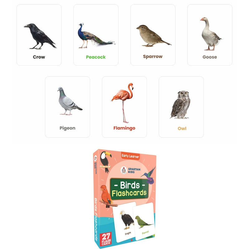 Birds Flash Cards (27 Early Learning Flash Cards For Kids)