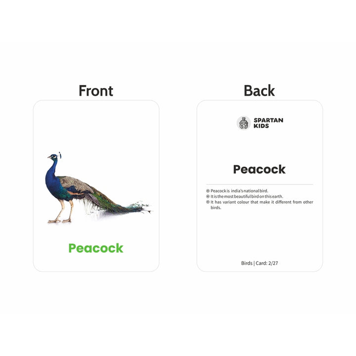 Birds Flash Cards (27 Early Learning Flash Cards For Kids)