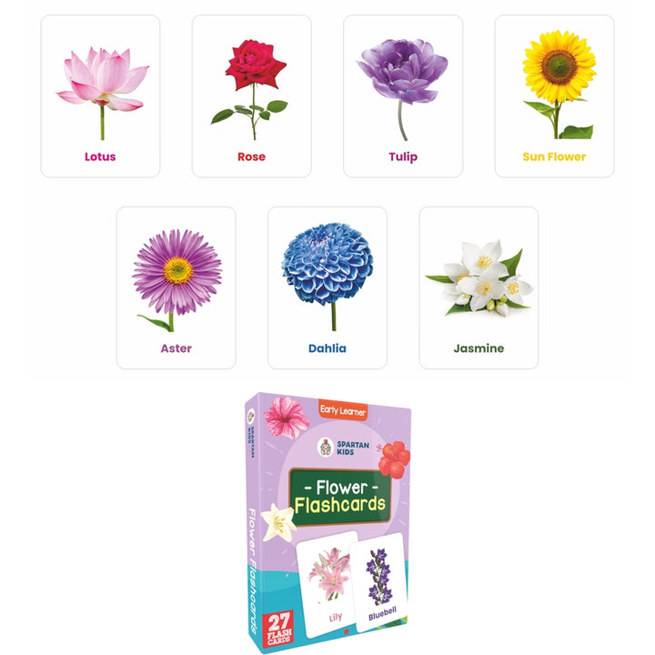 Flower Flash Cards (27 Early Learning Flash Cards For Kids)