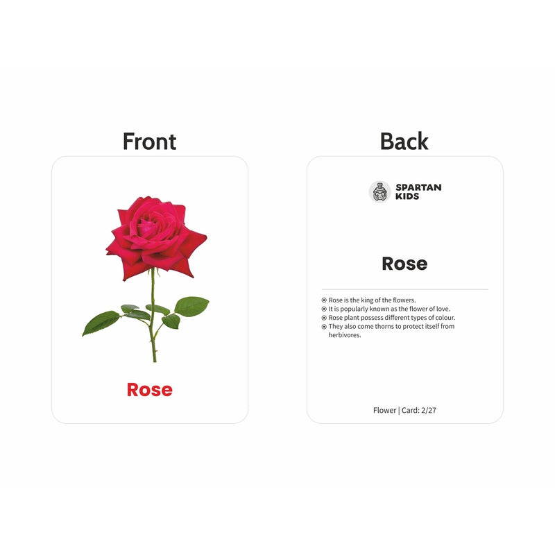 Flower Flash Cards (27 Early Learning Flash Cards For Kids)