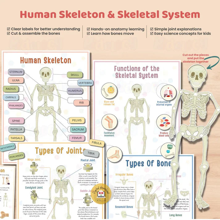 Kidology Human Anatomy Busy Book | Interactive Educational Learning Book