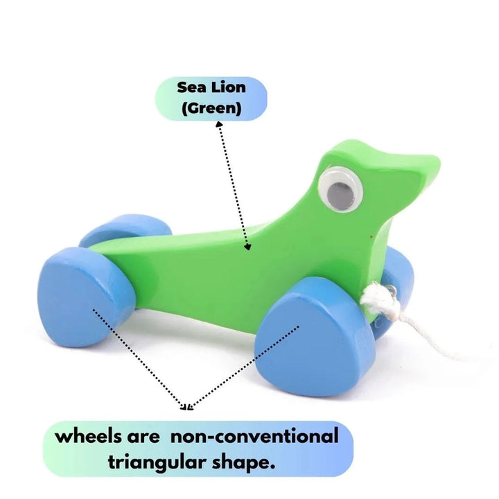 Sea Animal’s Wooden Pull & Push Along Toy | Green Sea Lion - Large Size (1-3 Years)