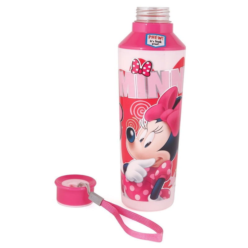 Disney Elements 600 Original Licensed Insulated Water Bottle - Disney Princess and Minnie Mouse