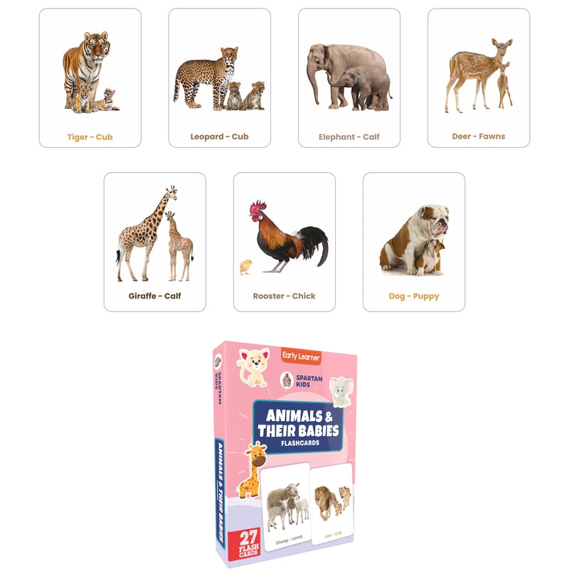 Animals & Their Babies of The World Flash Cards (27 Early Learning Flash Cards For Kids)