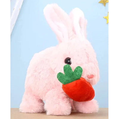 Poochie Bunny - Soft Toy (Assorted Colors)
