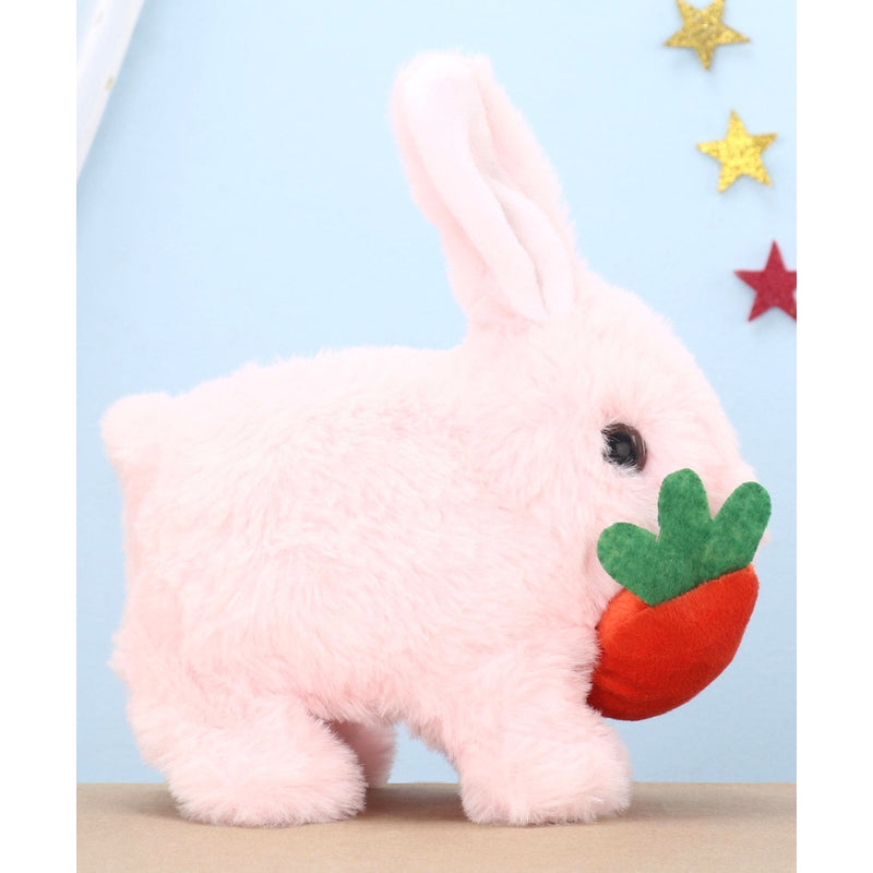 Poochie Bunny - Soft Toy (Assorted Colors)