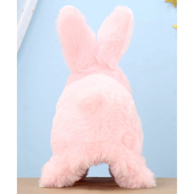 Poochie Bunny - Soft Toy (Assorted Colors)