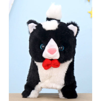 Poochie Cat - Soft Toy (Assorted Colors)