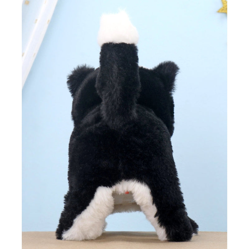 Buy Poochie Cat - Soft Toy (Assorted Colors) on Snooplay India