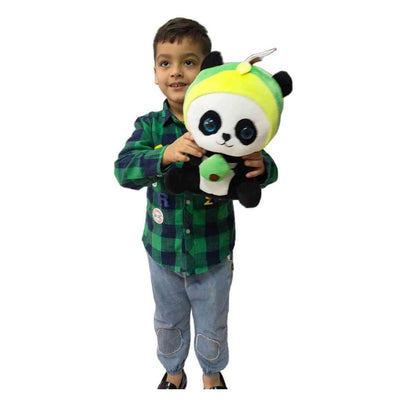 Avocado Panda Teddy Animal Soft Toy (Multicolour)