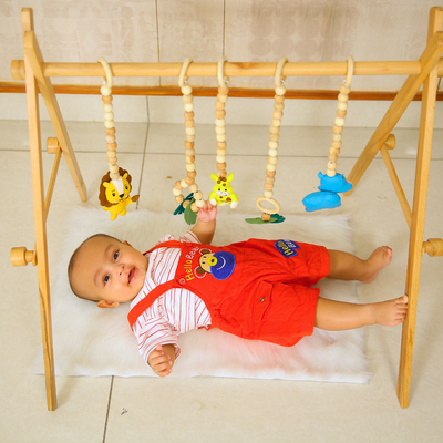 Wooden Play Gym Jungle Theme with Felt Toys