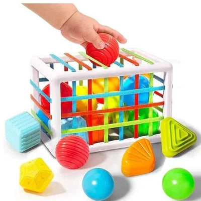 Sensory Toys Shape Sorter with 12 Pieces - Multicolour