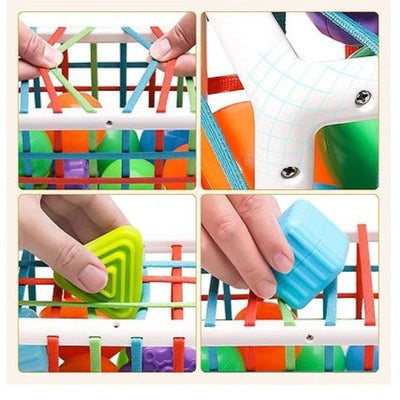 Sensory Toys Shape Sorter Baby Blocks Colorful Textured Balls Sorting Games Montessori - Multicolour