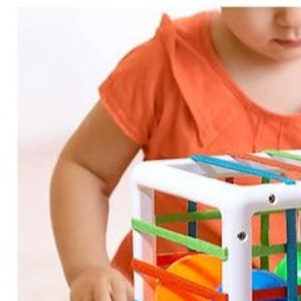 Sensory Toys Shape Sorter Baby Blocks Colorful Textured Balls Sorting Games Montessori - Multicolour
