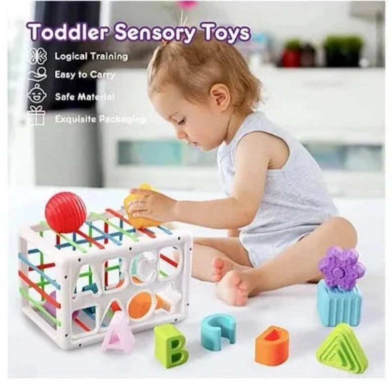 Sensory Toys Shape Sorter Baby Blocks Colorful Textured Balls Sorting Games Montessori - 10 Pieces