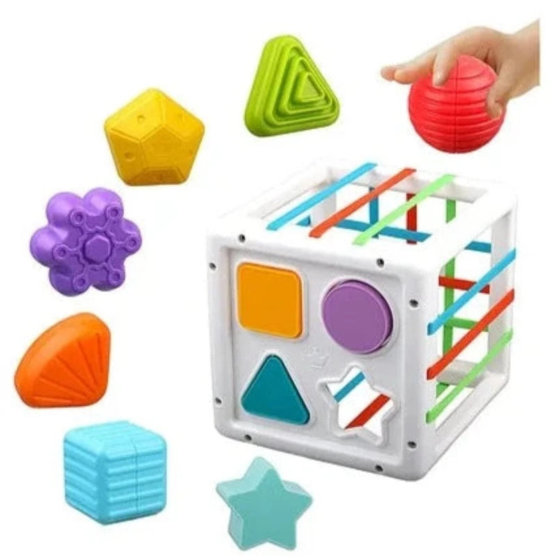 Sensory Toys Shape Sorter Baby Blocks Colorful Textured Balls Sorting Games Montessori - 10 Pieces