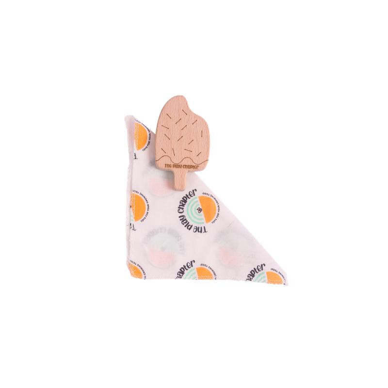 Hopping Bun & Icy Treat Teethers Set (6-12 Months)