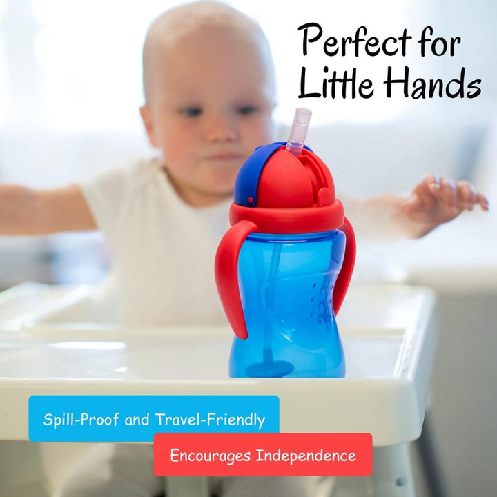 Straw Sipper with Gravity Ball | Dust Free Cap - 300 ml (2-3 Years)