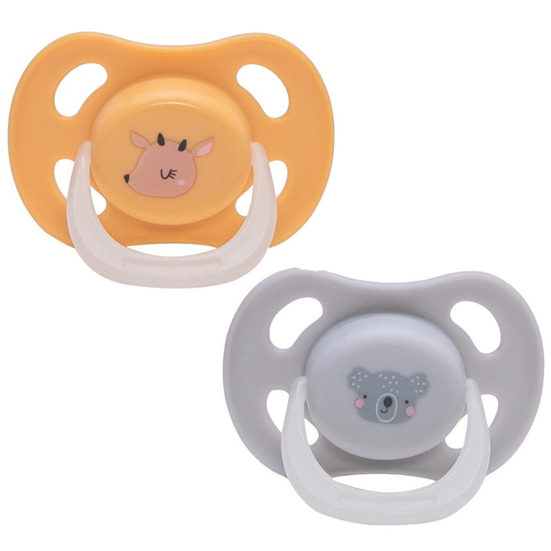 Pack of 2 Glow-in-the-Dark Pacifier with Case (1-6 Months)