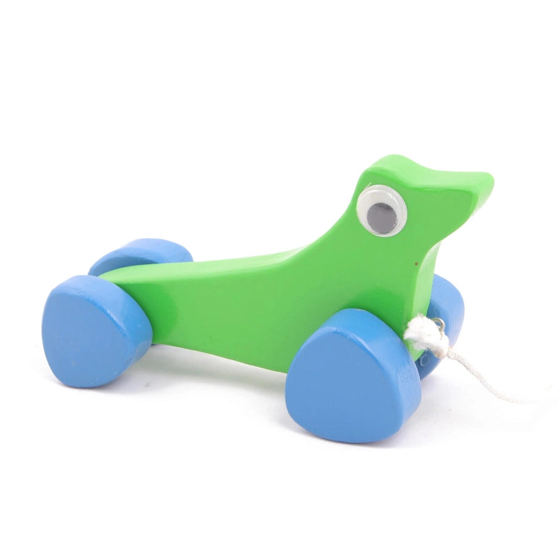 Wooden Pull toy & Push Along Toy Sea Animal’s  (SEA LION) (Green) -  Large Size