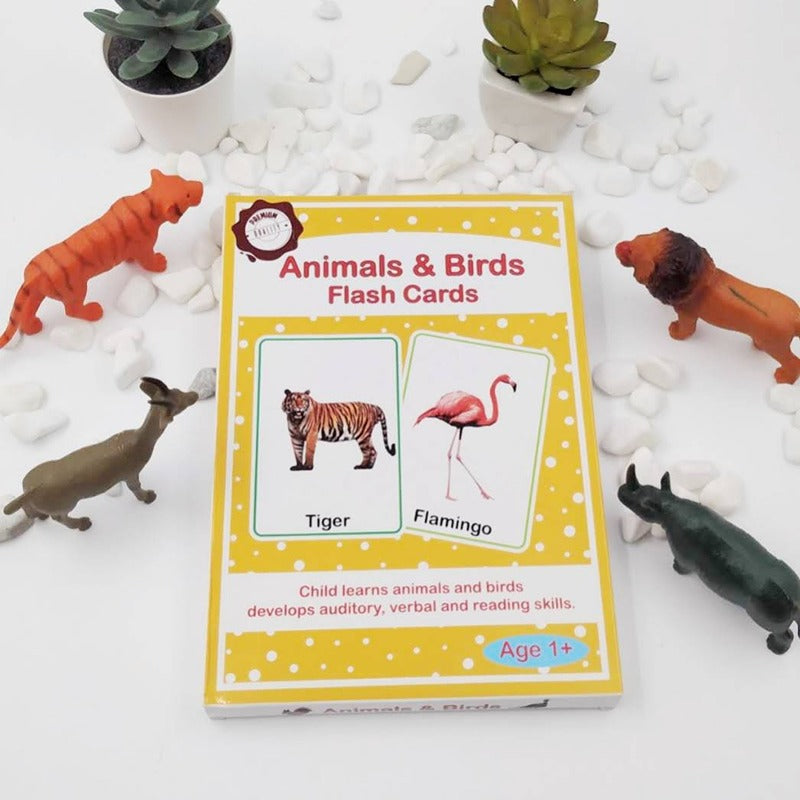 Animals & Birds Flash Cards for kids -30 Cards