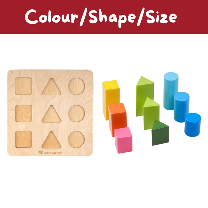 Shape Sorting Wooden Puzzle Toy (1-2 Years)