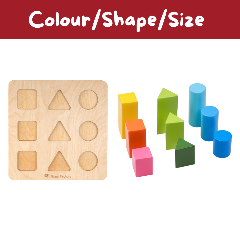 Shape Sorting Wooden Puzzle Toy