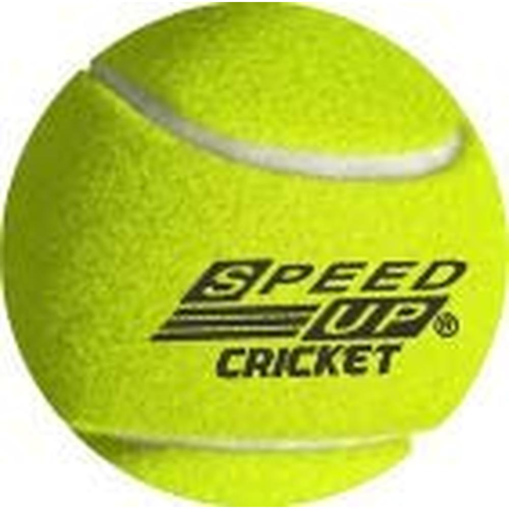 SPEED-UP X-Shot Cricket Set | Size 4 (Cricket Bat, Batting Gloves, ball, 4 Wickets)