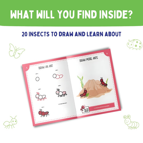 Step by Step Drawing Book - Incredible Insects Theme (2-5 Years)