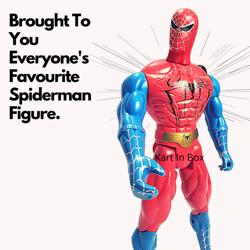 Spiderman Action Figure (12 Inch)
