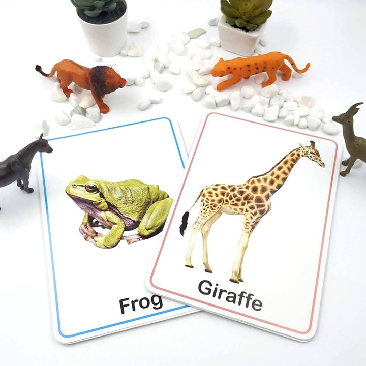 Animals & Birds Flash Cards for kids -30 Cards