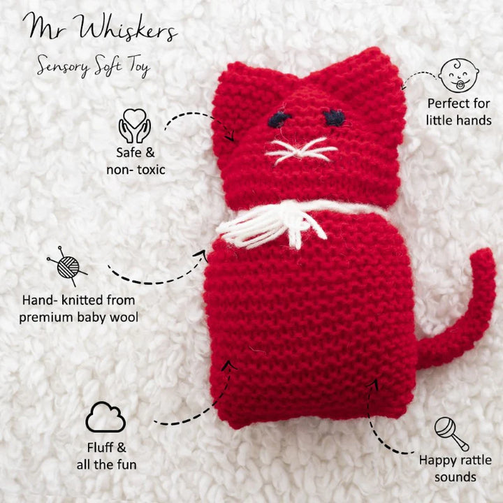 Mr Whiskers The Cat Sensory Soft Toy