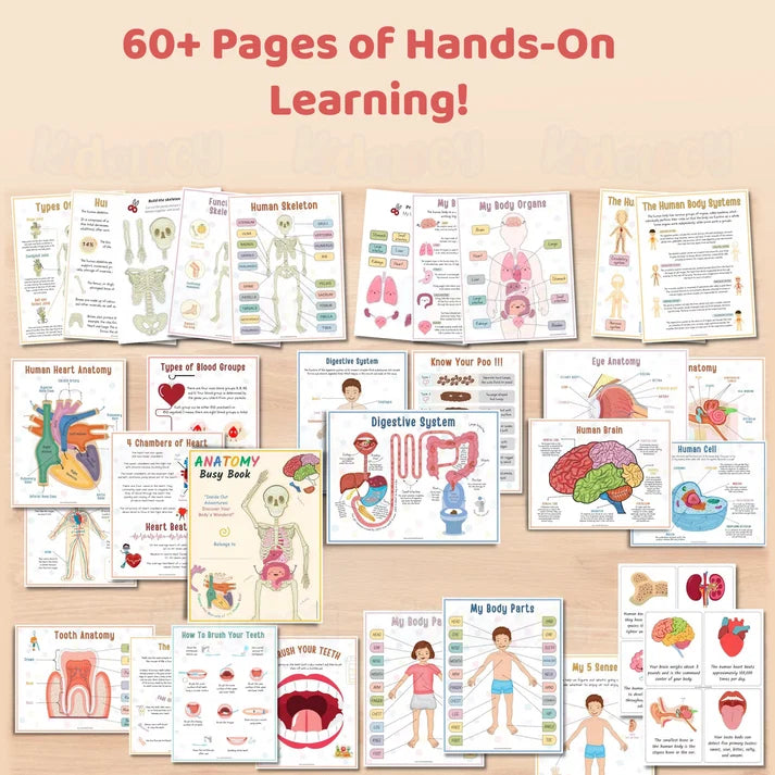 Kidology Human Anatomy Busy Book | Interactive Educational Learning Book
