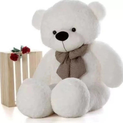 White Teddy Bear Soft Toy