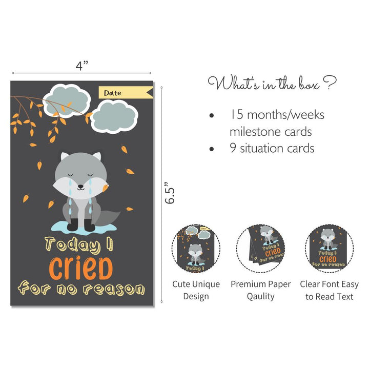 Baby Boy Milestone Cards- Pack of 24