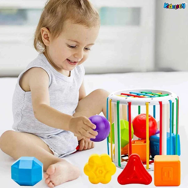 Kidology Shape Sorter: Fun Learn | Educational Shape Matching Toy