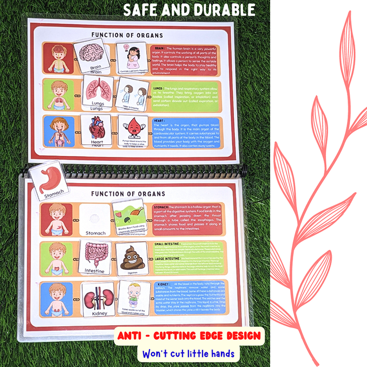 My Body Level 2 – Preschool Busy Book Binder