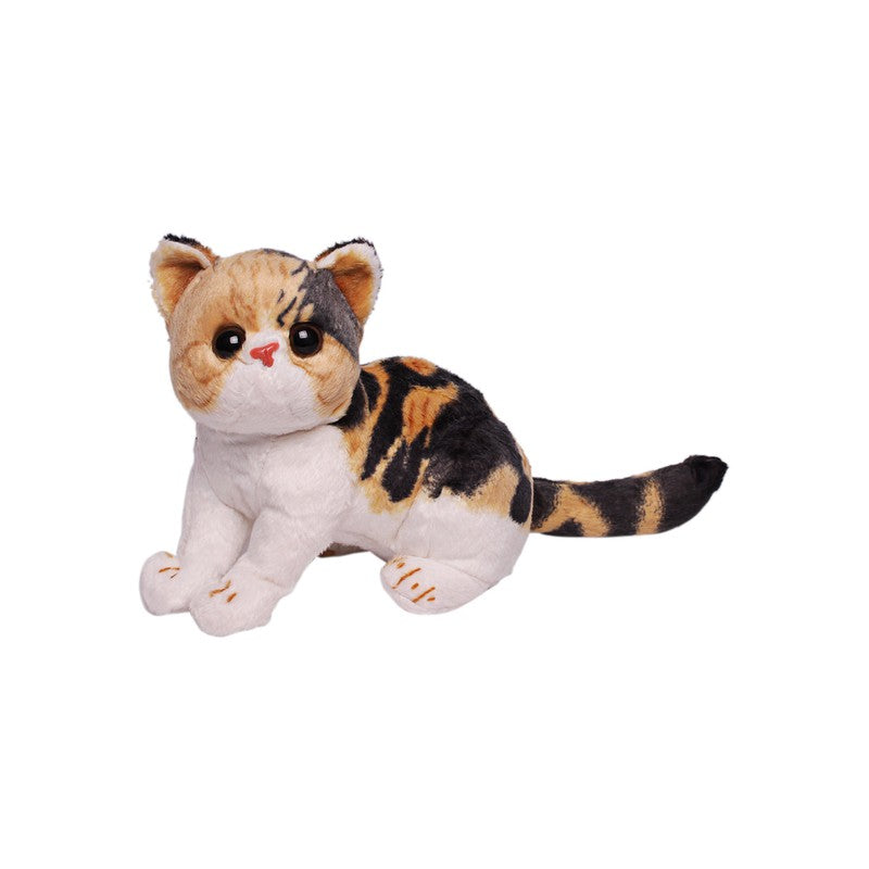 Cute & Adorable Beige & Black Cat Soft / Plush Toy For Kids, Height -  30Cm