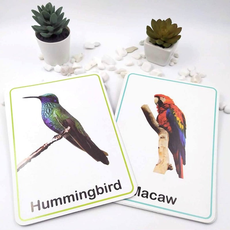 Animals & Birds Flash Cards for kids -30 Cards