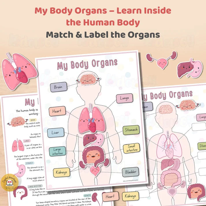 Kidology Human Anatomy Busy Book | Interactive Educational Learning Book